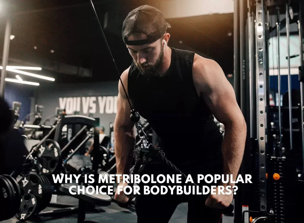 Why is Metribolone popular